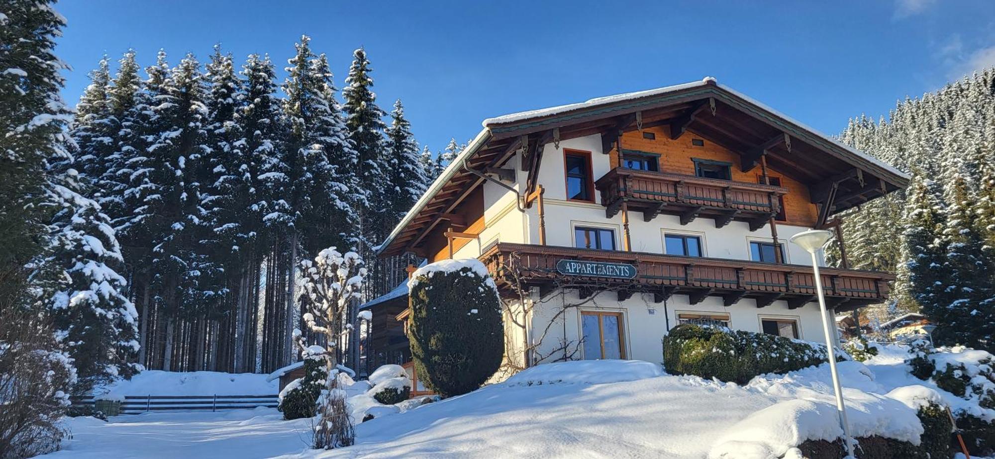 Апартаменты Am Waldrand 252 Нойкирхен-ам-Гросфенедигер Экстерьер фото