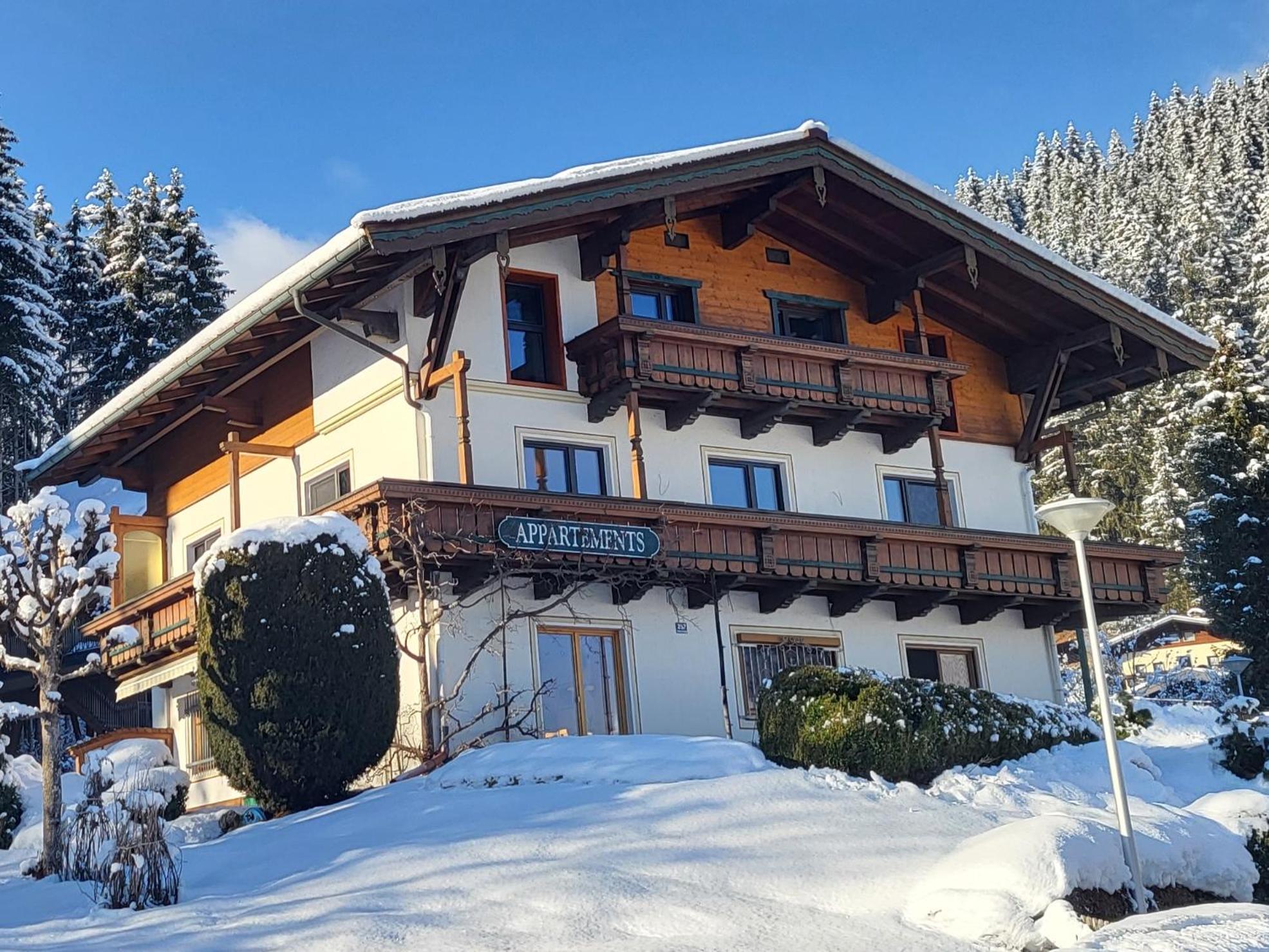 Апартаменты Am Waldrand 252 Нойкирхен-ам-Гросфенедигер Экстерьер фото
